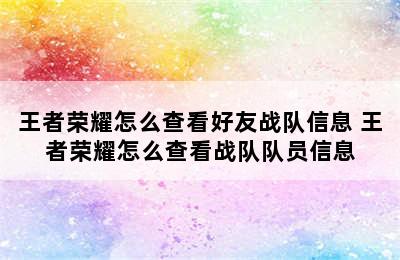 王者荣耀怎么查看好友战队信息 王者荣耀怎么查看战队队员信息